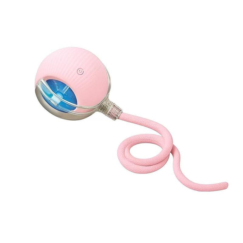 【Halloween Limited Mizusu Interactive Cat & Dog Teaser Toy with Two Additional Tails, Kitten Rolling Ball Toy, Pet Supplies, Dog & Cat Accessories Cute Dog Toys