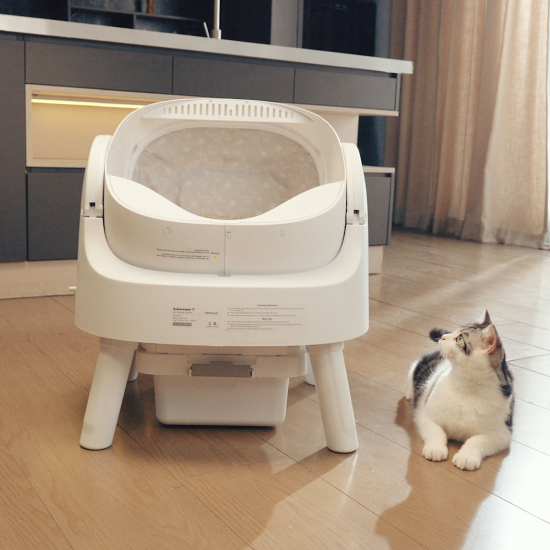 Autoscooper 11 Open-top Self-cleaning Smart Cat Litter Box-PetPivot