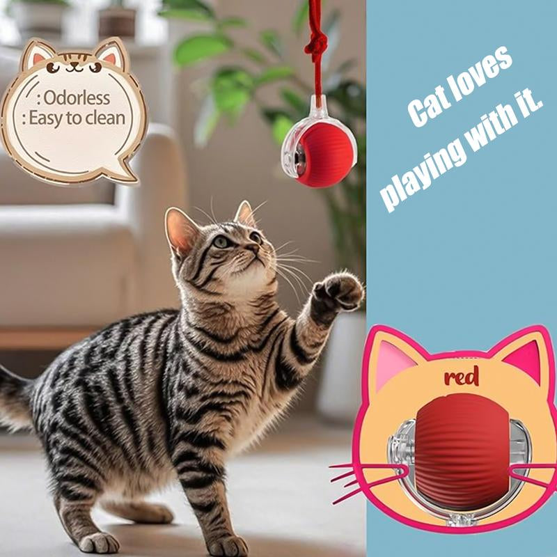 Electric Cat Ball Toy with Rope, Interactive Cat Teaser Toy, Automatic Rolling Ball Toy, Pet Supplies, Dog & Cat Accessories