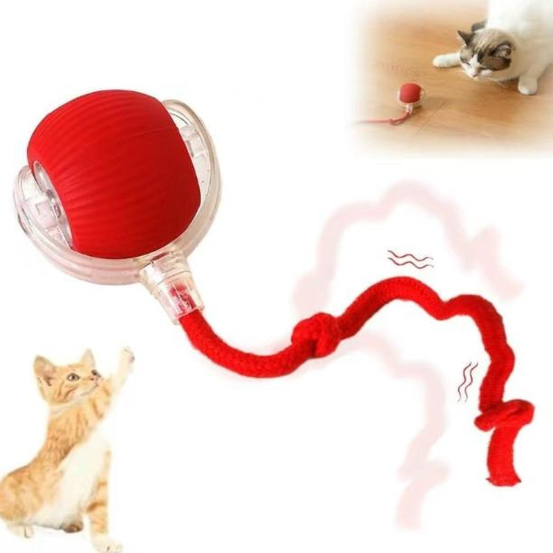 Electric Cat Ball Toy with Rope, Interactive Cat Teaser Toy, Automatic Rolling Ball Toy, Pet Supplies, Dog & Cat Accessories