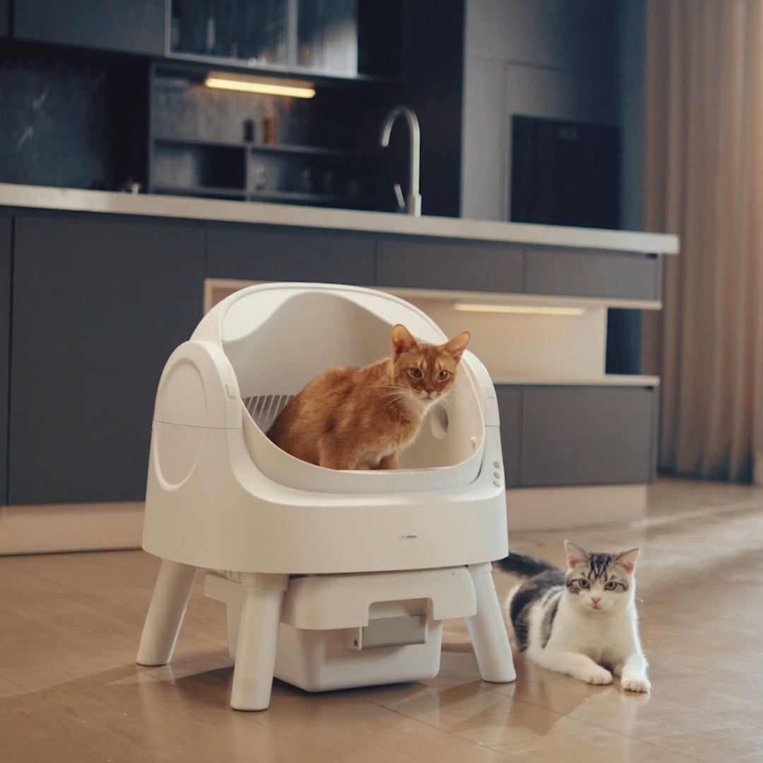 Autoscooper 11 Open-top Self-cleaning Smart Cat Litter Box-PetPivot