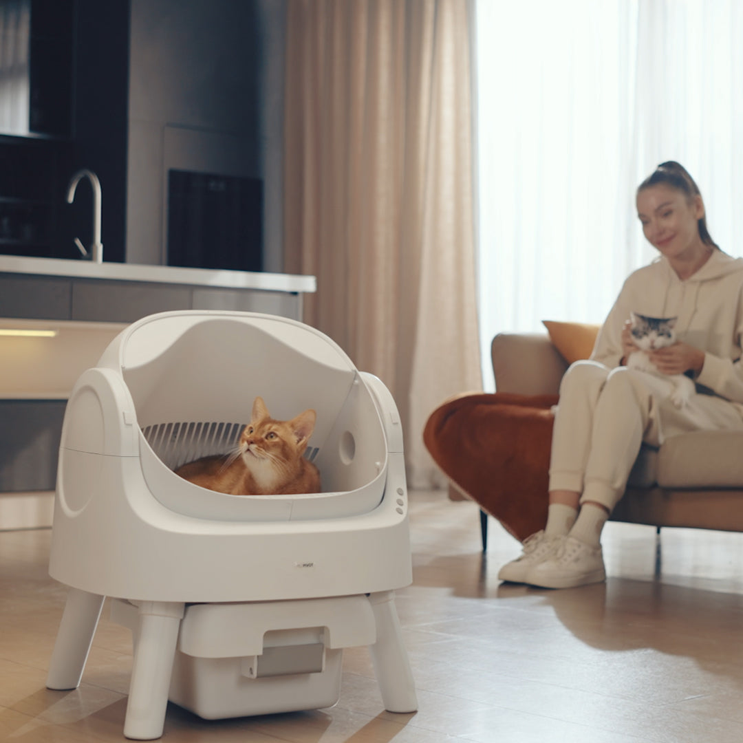 Autoscooper 11 Open-top Self-cleaning Smart Cat Litter Box-PetPivot
