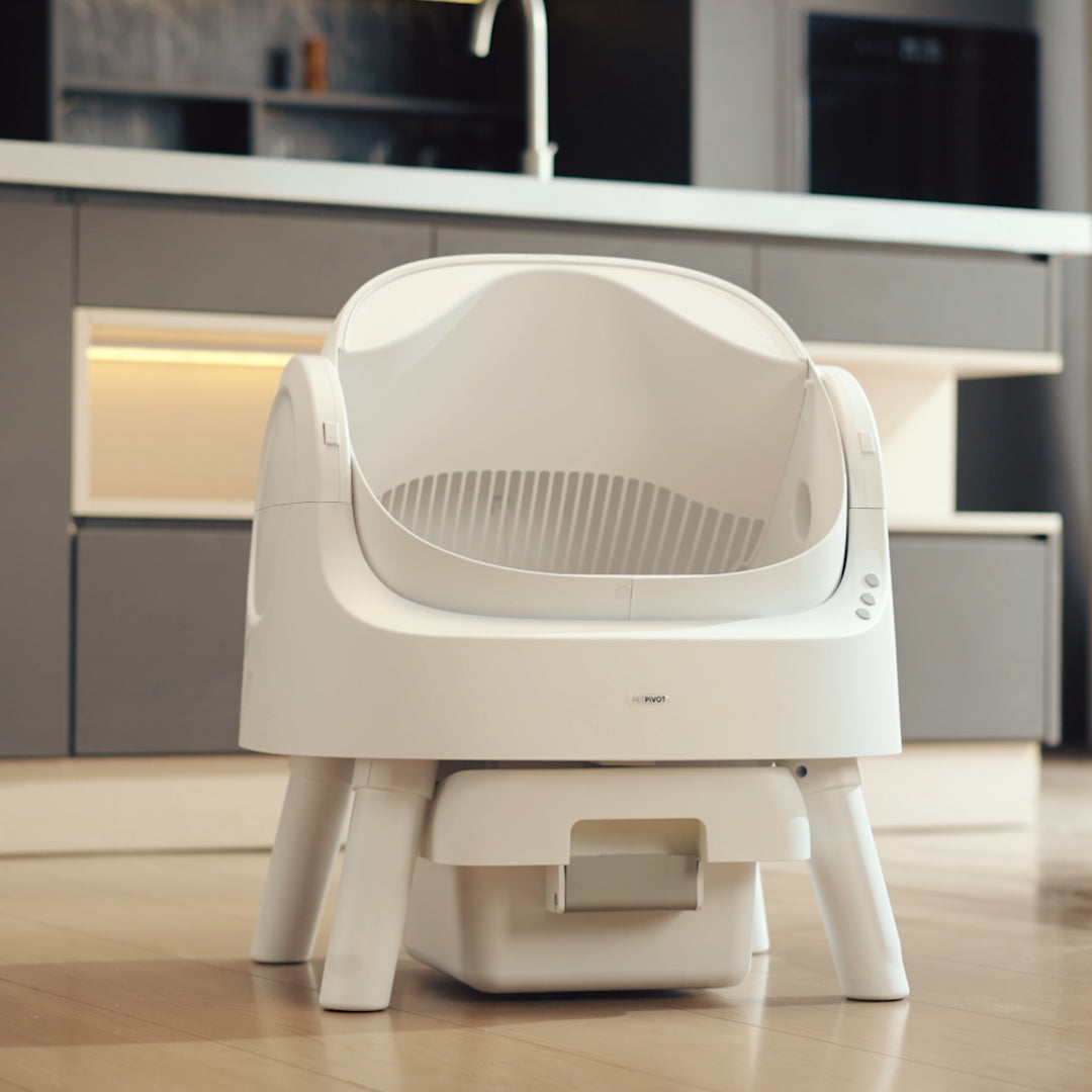 Autoscooper 11 Open-top Self-cleaning Smart Cat Litter Box-PetPivot