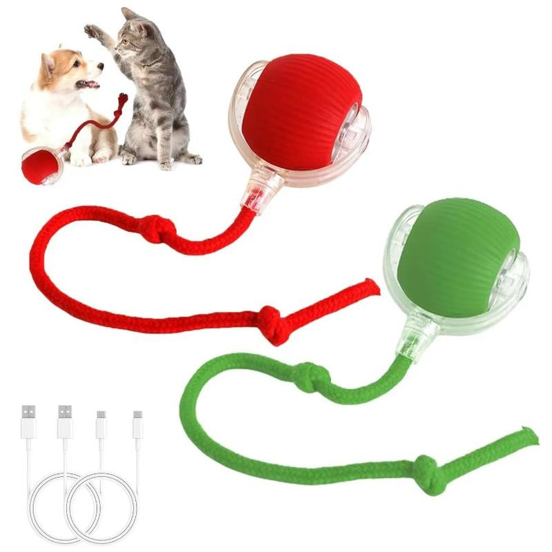 Electric Cat Ball Toy with Rope, Interactive Cat Teaser Toy, Automatic Rolling Ball Toy, Pet Supplies, Dog & Cat Accessories
