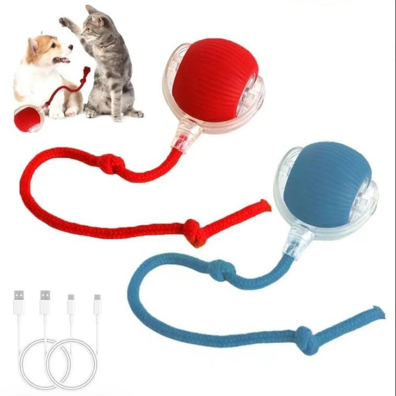 Electric Cat Ball Toy with Rope, Interactive Cat Teaser Toy, Automatic Rolling Ball Toy, Pet Supplies, Dog & Cat Accessories
