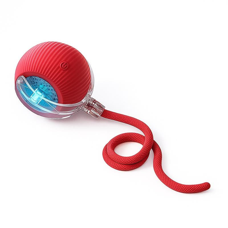 【Halloween Limited Mizusu Interactive Cat & Dog Teaser Toy with Two Additional Tails, Kitten Rolling Ball Toy, Pet Supplies, Dog & Cat Accessories Cute Dog Toys