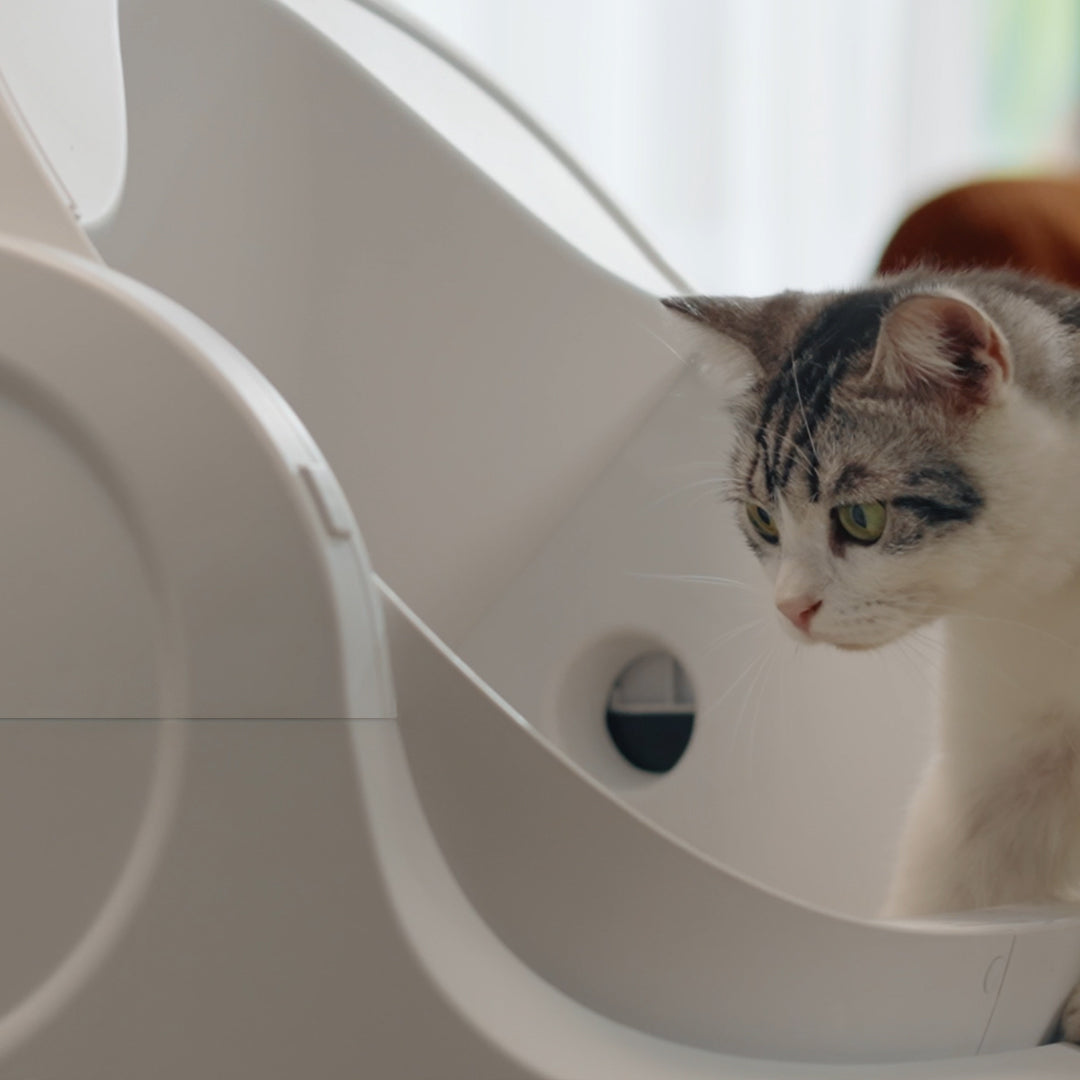 Autoscooper 11 Open-top Self-cleaning Smart Cat Litter Box-PetPivot