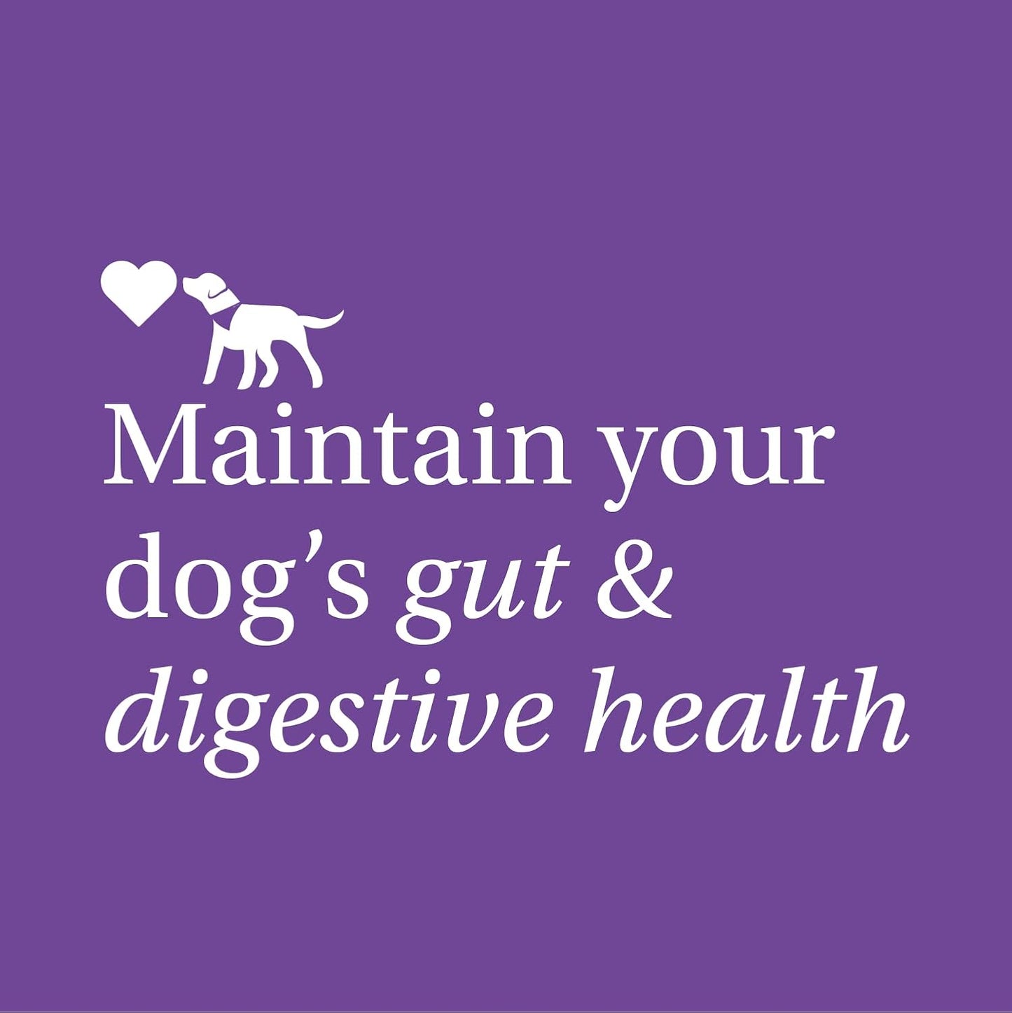 Probiotics for Dogs, Support Gut Health, Occasional Diarrhea, Digestive Health & Seasonal Allergies - Salmon Flavor - 30 Soft Chews
