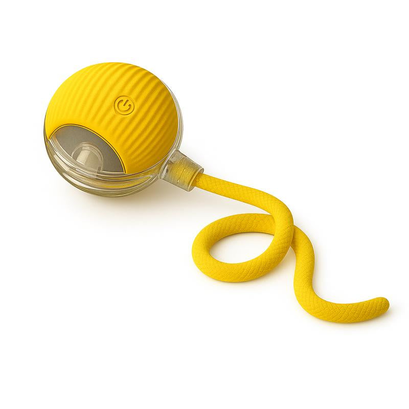 【Halloween Limited Mizusu Interactive Cat & Dog Teaser Toy with Two Additional Tails, Kitten Rolling Ball Toy, Pet Supplies, Dog & Cat Accessories Cute Dog Toys