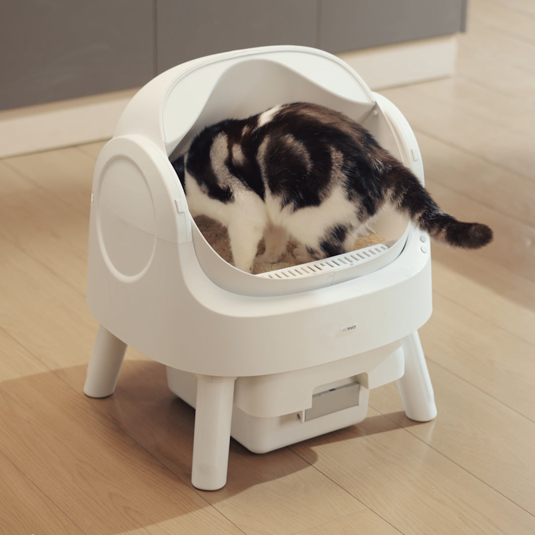 Autoscooper 11 Open-top Self-cleaning Smart Cat Litter Box-PetPivot