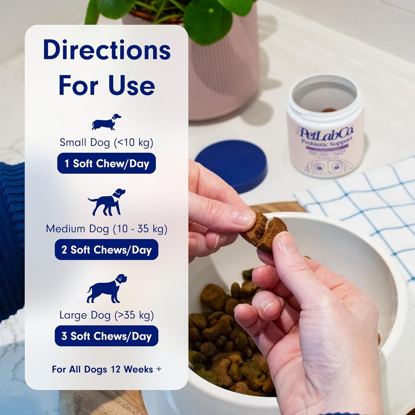 Probiotics for Dogs, Support Gut Health, Occasional Diarrhea, Digestive Health & Seasonal Allergies - Salmon Flavor - 30 Soft Chews