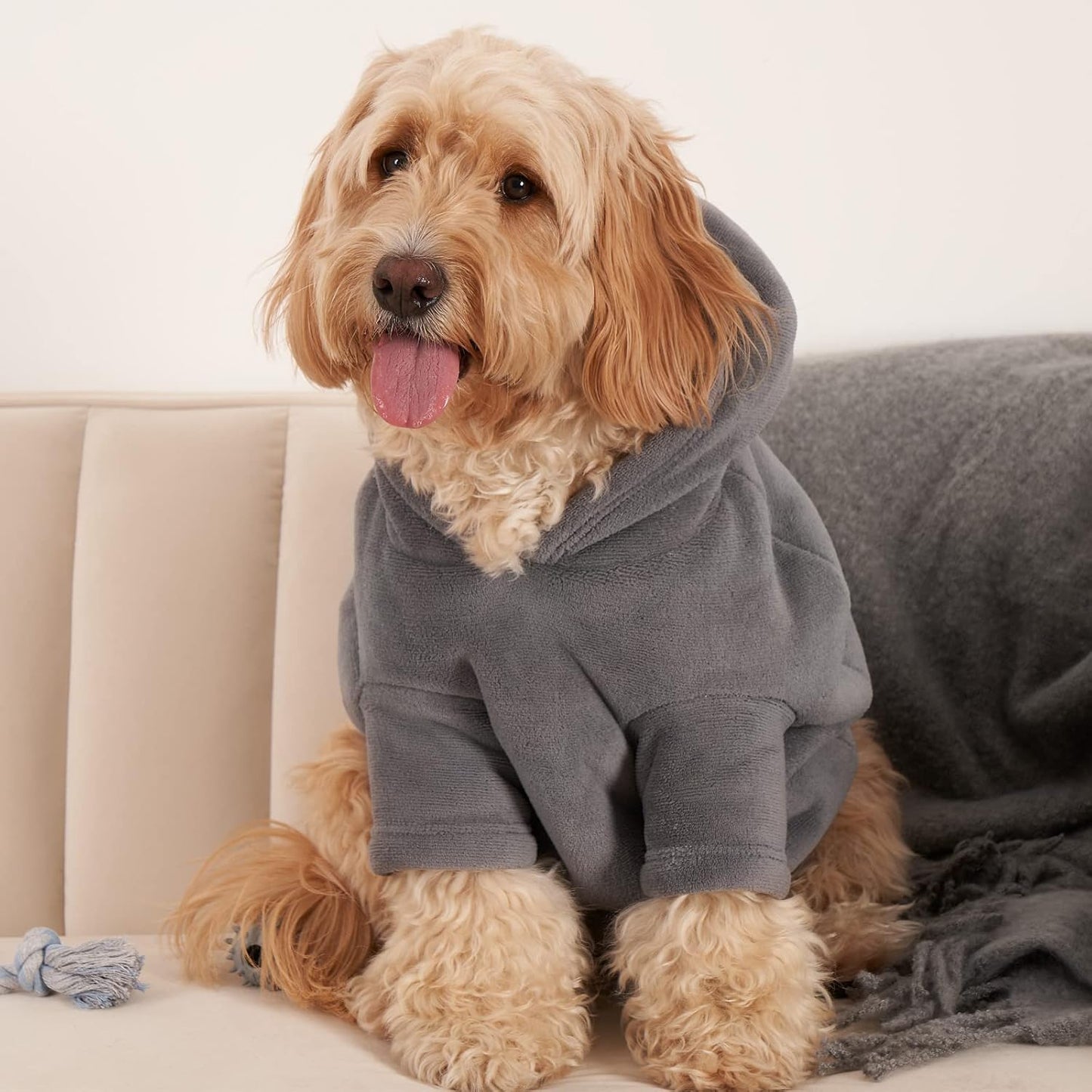 Thermal Fleece Dog Hoodie Sherpa Lined Reversible Soft Cosy Easy Care Pet Clothing – Small, Charcoal Grey