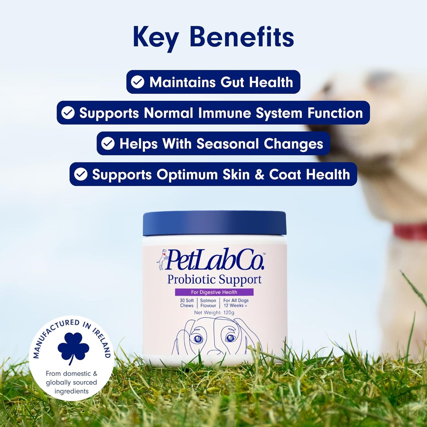 Probiotics for Dogs, Support Gut Health, Occasional Diarrhea, Digestive Health & Seasonal Allergies - Salmon Flavor - 30 Soft Chews
