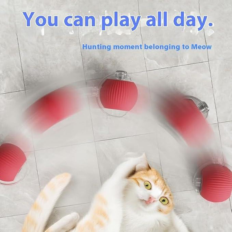 Electric Cat Ball Toy with Rope, Interactive Cat Teaser Toy, Automatic Rolling Ball Toy, Pet Supplies, Dog & Cat Accessories
