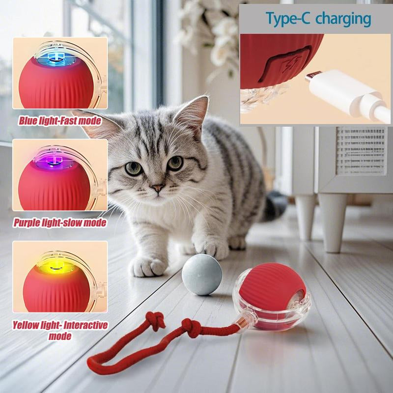 Electric Cat Ball Toy with Rope, Interactive Cat Teaser Toy, Automatic Rolling Ball Toy, Pet Supplies, Dog & Cat Accessories
