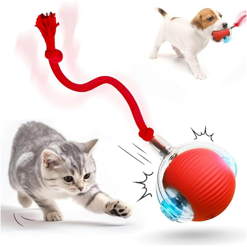 Electric Cat Ball Toy with Rope, Interactive Cat Teaser Toy, Automatic Rolling Ball Toy, Pet Supplies, Dog & Cat Accessories