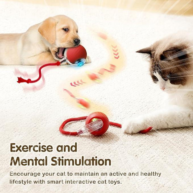 Electric Cat Ball Toy with Rope, Interactive Cat Teaser Toy, Automatic Rolling Ball Toy, Pet Supplies, Dog & Cat Accessories