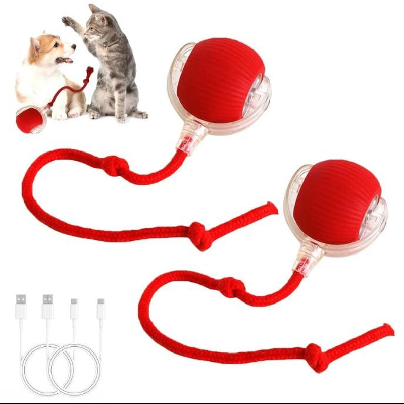 Electric Cat Ball Toy with Rope, Interactive Cat Teaser Toy, Automatic Rolling Ball Toy, Pet Supplies, Dog & Cat Accessories