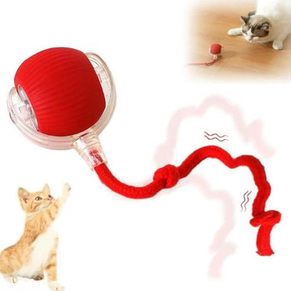 Electric Cat Ball Toy with Rope, Interactive Cat Teaser Toy, Automatic Rolling Ball Toy, Pet Supplies, Dog & Cat Accessories