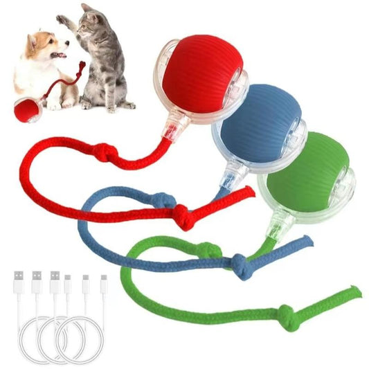 Electric Cat Ball Toy with Rope, Interactive Cat Teaser Toy, Automatic Rolling Ball Toy, Pet Supplies, Dog & Cat Accessories