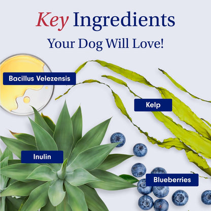 Probiotics for Dogs, Support Gut Health, Occasional Diarrhea, Digestive Health & Seasonal Allergies - Salmon Flavor - 30 Soft Chews