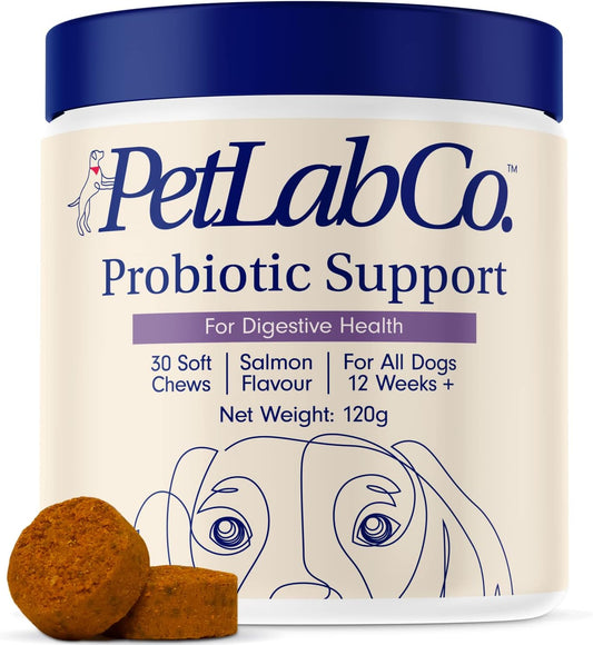 Probiotics for Dogs, Support Gut Health, Occasional Diarrhea, Digestive Health & Seasonal Allergies - Salmon Flavor - 30 Soft Chews