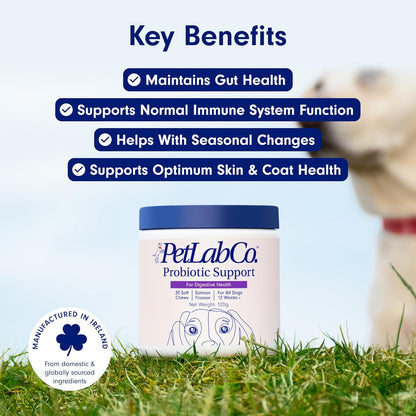 Probiotics for Dogs, Support Gut Health, Occasional Diarrhea, Digestive Health & Seasonal Allergies - Salmon Flavor - 30 Soft Chews