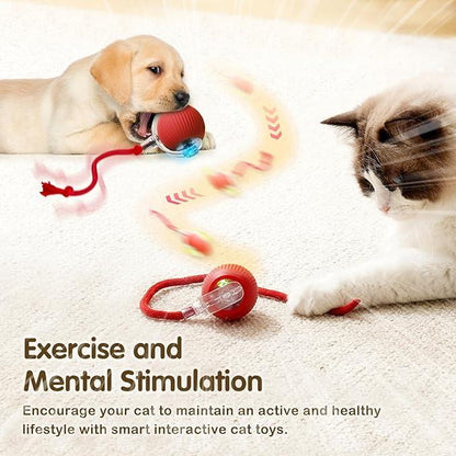 Electric Cat Ball Toy with Rope, Interactive Cat Teaser Toy, Automatic Rolling Ball Toy, Pet Supplies, Dog & Cat Accessories